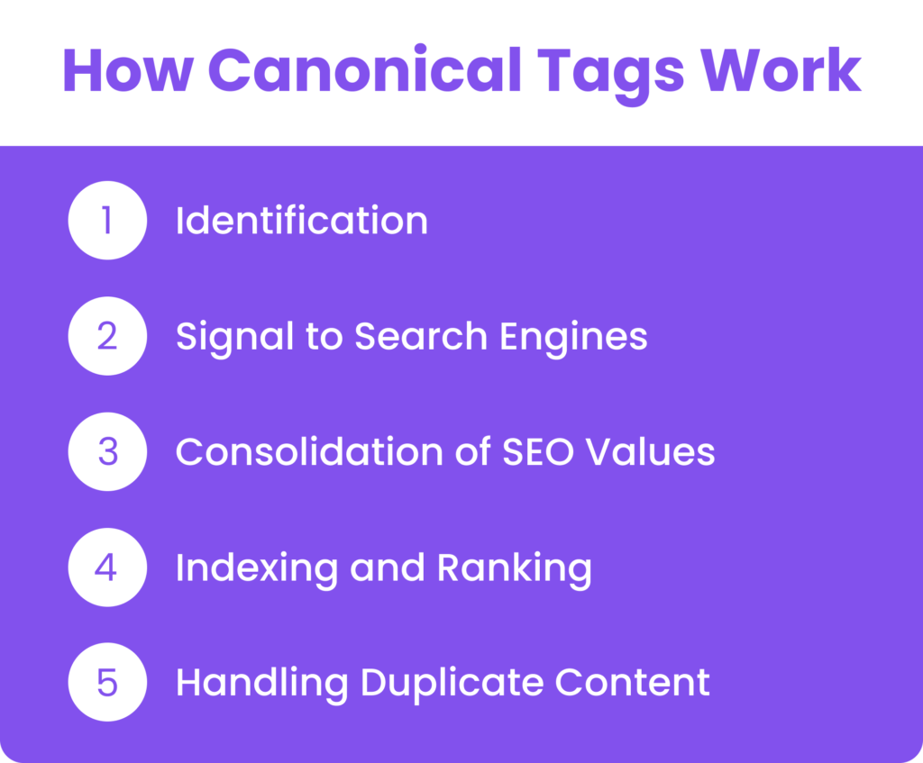 How Canonical Tags Work?